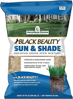 Jonathan Green (12007) Black Beauty Sun & Shade Grass Seed - Cool Season Lawn Seed, 50 lb