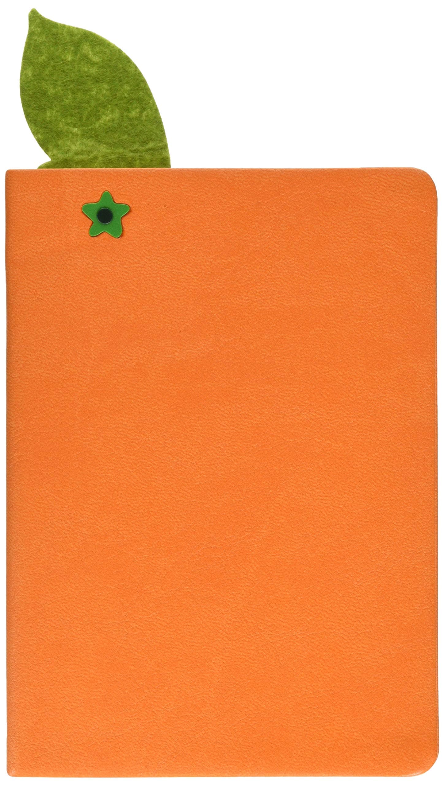 Juicy Notebook: Orange