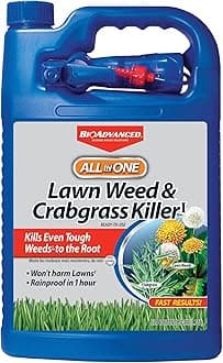 BioAdvanced All-In-One Lawn Weed and Crabgrass Killer I, Ready-to-Use, 1 Gal
