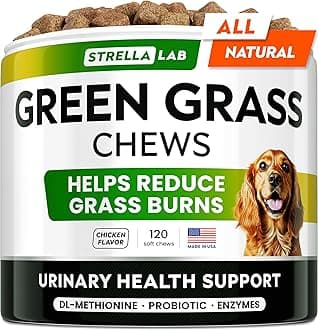 - STRELLALAB Green Grass Dog Chews - Dog Pee Grass Helper - Supplement Urine Neutralizer for Grass Burn Spots - Grass Treatment for Pet Urine - Pee Lawn Repair Treats with Probiotics - Made in USA