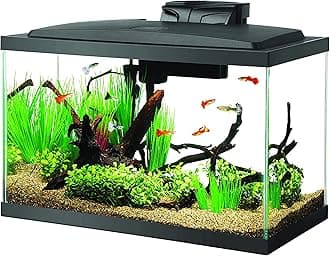 Aqueon Aquarium Fish Tank Starter Kit with LED Lighting 10 Gallon Fish Tank