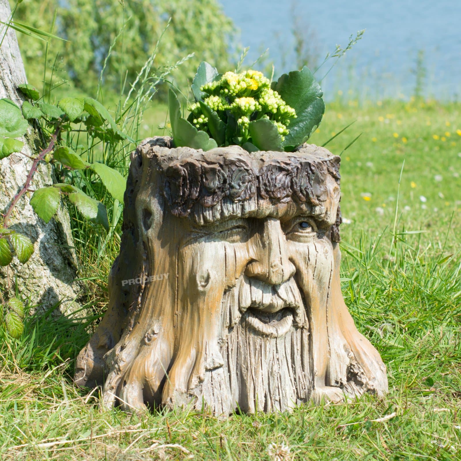 ProdBuy Limited Decorative Tree Stump Face Planter - Winking Face