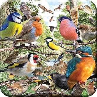 3D LiveLife Cork Coaster - Nature's Home from Deluxebase. Lenticular Bird Drink Coasters. Funny Gifts for Women and Men. Cute Novelty Kitchen Gift Ideas and Decorative Home Accessories