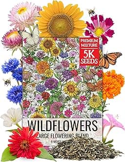 Seed Needs Garden Flower Seeds Large Blooms Mix Hummingbird and Butterfly | 1 Ounce No Filler 7 Varieties Open Pollinated | Resealable Package Live Wild Flower Seed | Bulk