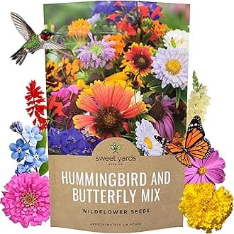 Bulk Wildflower Seeds Butterfly and Humming Bird Mix - 1/4 Pound Bag - Over 30,000 Open Pollinated Annual and Perennial Seeds