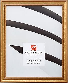 Craig Frames 314 Gold Picture Frame, 18x24