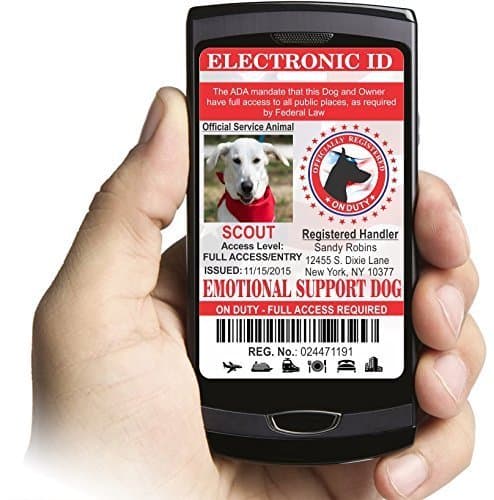 IDCards4U Electronic Service Animal Identification