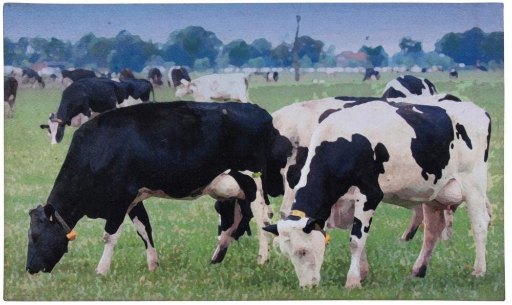 Esschert Doormat Cows – RB93