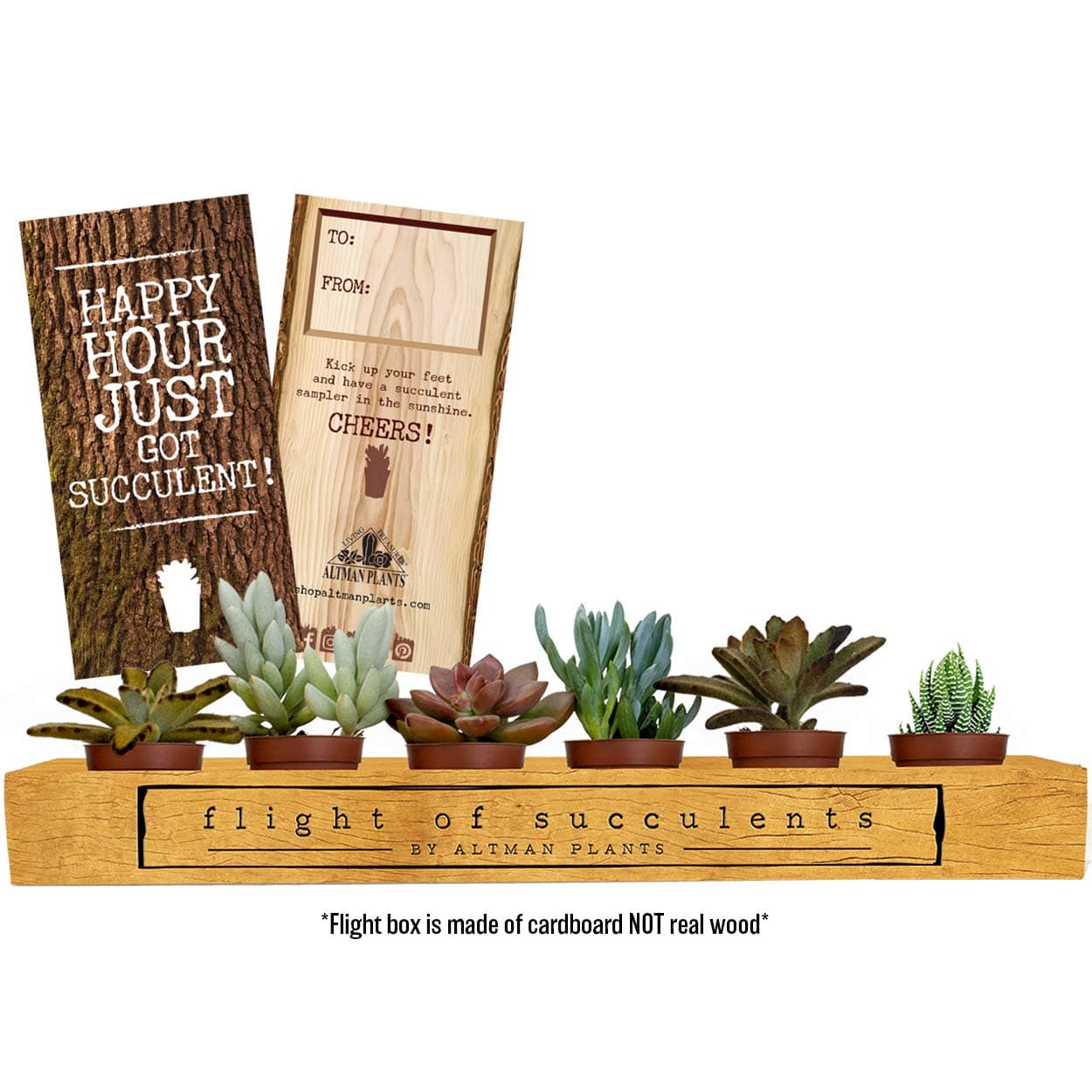 Altman Plants Assorted Mini Live Fully Rooted in Soil Flight of Succulents Perfect Gift for any occasion, Includes (1) To/From Card 1.75" 6 Pack