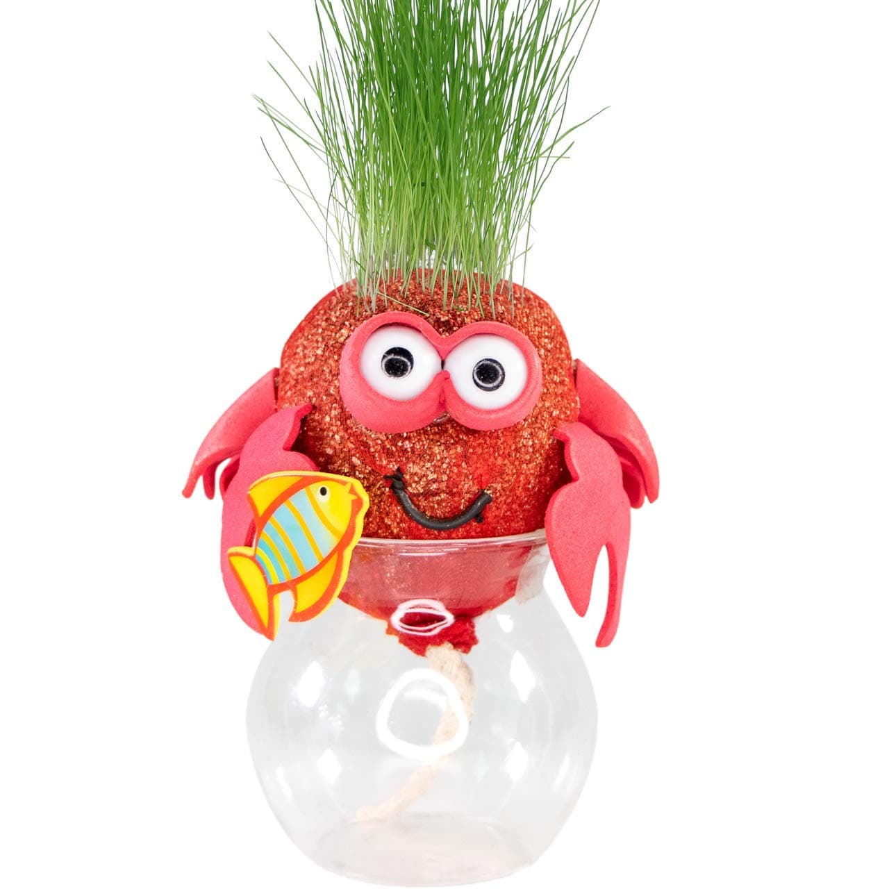 AvoSeedo Grass Head - Funny Fast Growing Grass Head Learning Toy for Kids (Crabby)