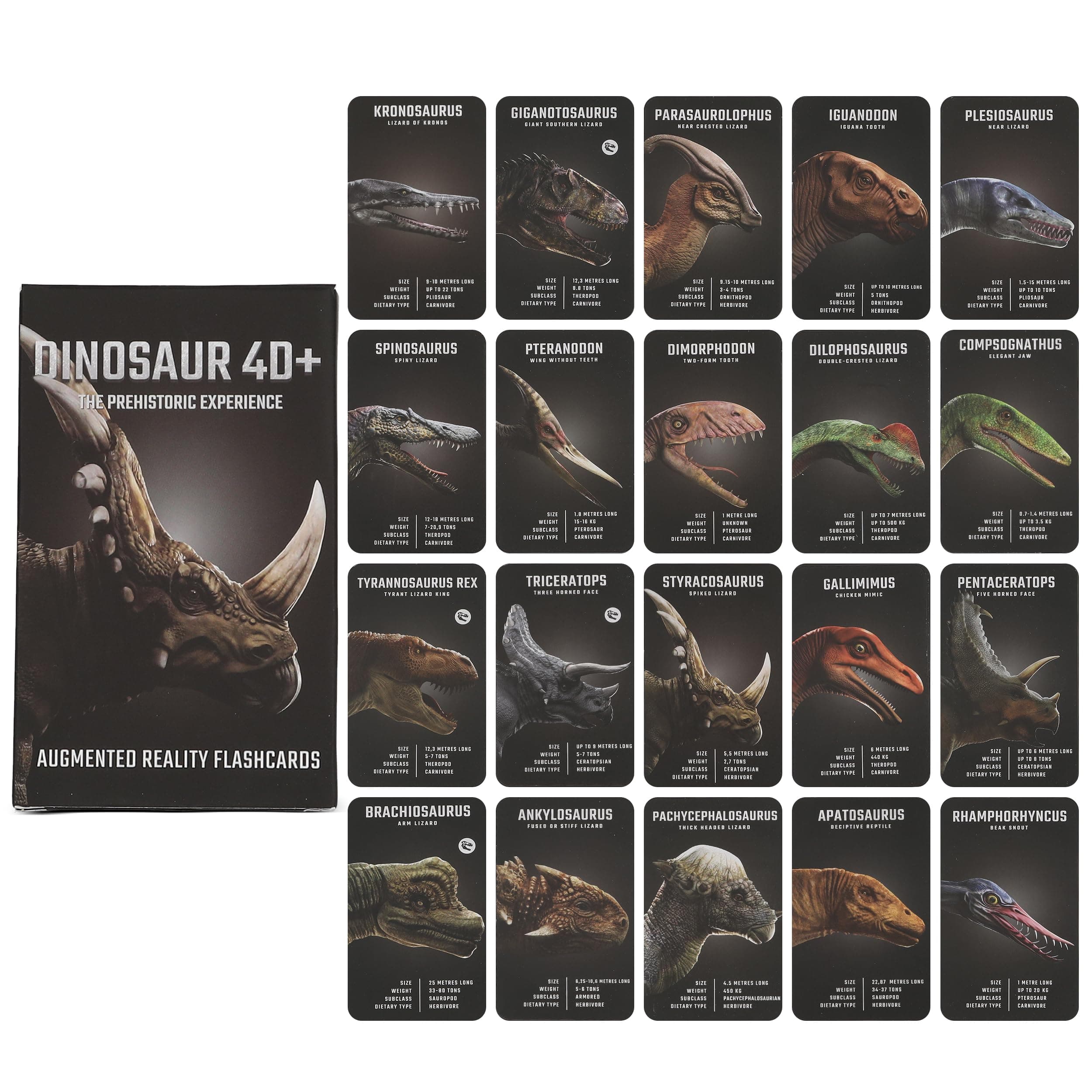Octagon Studio Dinosaur 4D+ Augmented Reality Flashcards